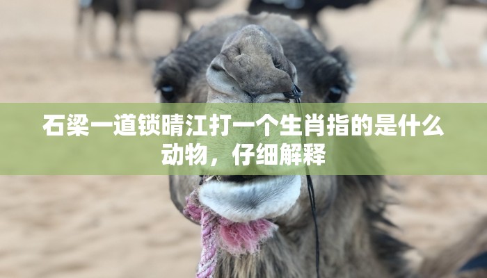 石梁一道锁晴江打一个生肖指的是什么动物,仔细解释 石梁一道锁晴江打一个生肖指的是什么动物,仔细解释