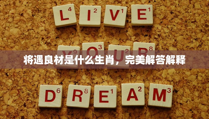 将遇良材是什么生肖，完美解答解释