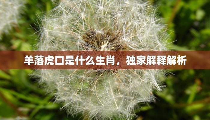 羊落虎口是什么生肖,独家解释解析 羊落虎口是什么生肖,独家解释解析