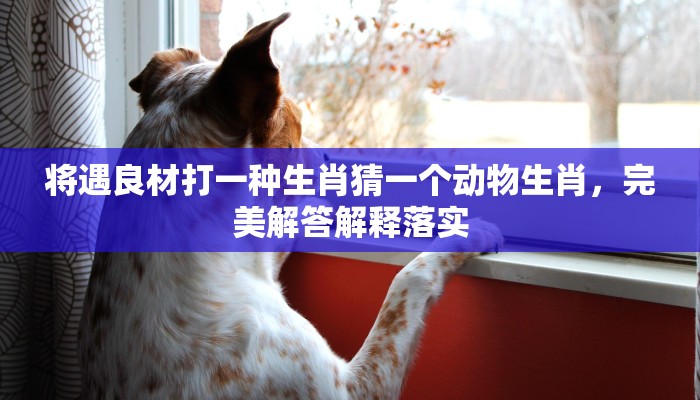 将遇良材打一种生肖猜一个动物生肖,完美解答解释落实 将遇良材打一种生肖猜一个动物生肖,完美解答解释落实