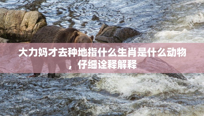 大力妈才去种地指什么生肖是什么动物,仔细诠释解释 大力妈才去种地指什么生肖是什么动物,仔细诠释解释
