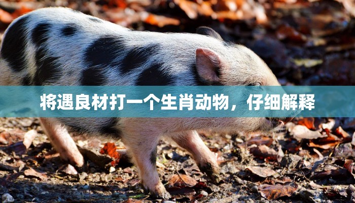 将遇良材打一个生肖动物,仔细解释 将遇良材打一个生肖动物,仔细解释