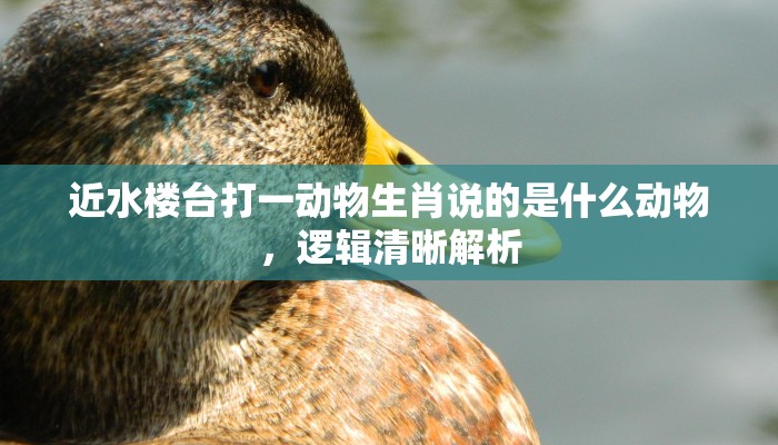 近水楼台打一动物生肖说的是什么动物，逻辑清晰解析