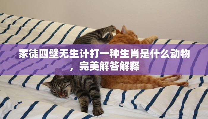 家徒四壁无生计打一种生肖是什么动物，完美解答解释