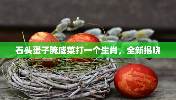 石头蛋子腌咸菜打一个生肖，全新揭晓