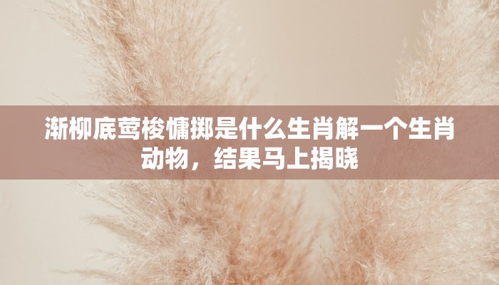 渐柳底莺梭慵掷是什么生肖解一个生肖动物，结果马上揭晓