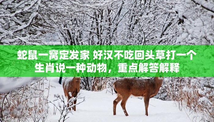 蛇鼠一窝定发家 好汉不吃回头草打一个生肖说一种动物，重点解答解释