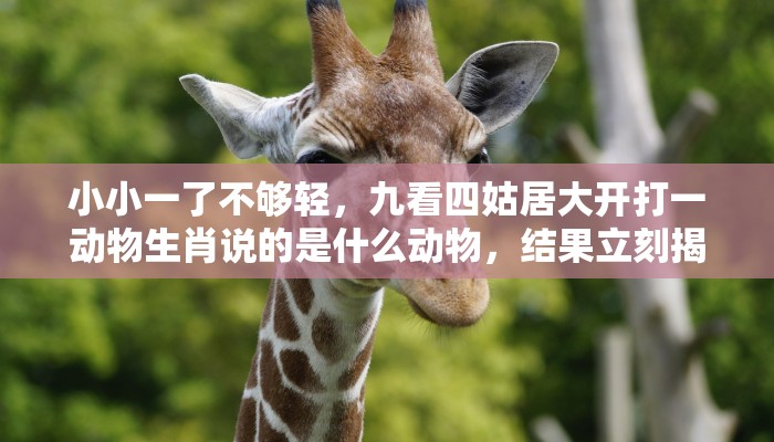 小小一了不够轻，九看四姑居大开打一动物生肖说的是什么动物，结果立刻揭晓落实