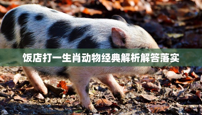 饭店打一生肖动物经典解析解答落实