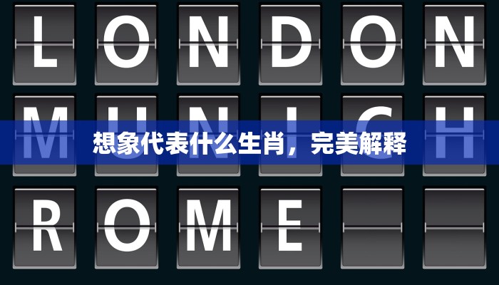 想象代表什么生肖，完美解释