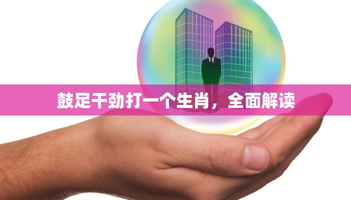 鼓足干劲打一个生肖，全面解读