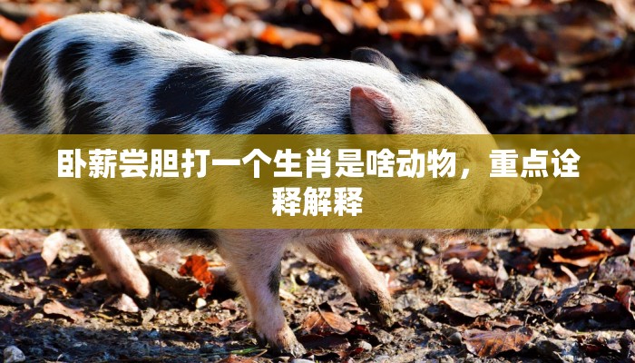 卧薪尝胆打一个生肖是啥动物，重点诠释解释