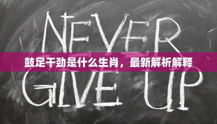 鼓足干劲是什么生肖，最新解析解释