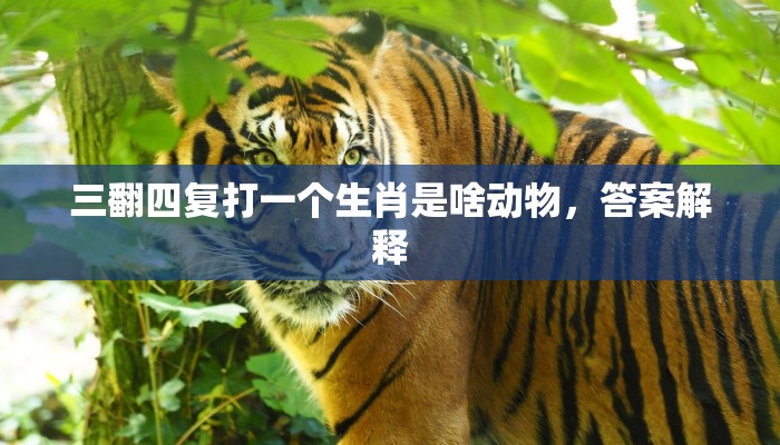 三翻四复打一个生肖是啥动物，答案解释