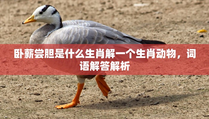 子规夜啼山竹裂指什么生肖,答案揭晓解析落实 子规夜啼山竹裂指什么生肖,答案揭晓解析落实