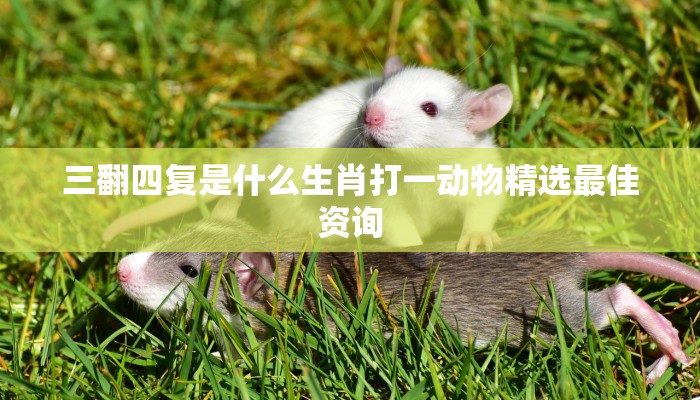 斗鸡走狗是什么生肖,仔细解释诗意 斗鸡走狗是什么生肖,仔细解释诗意