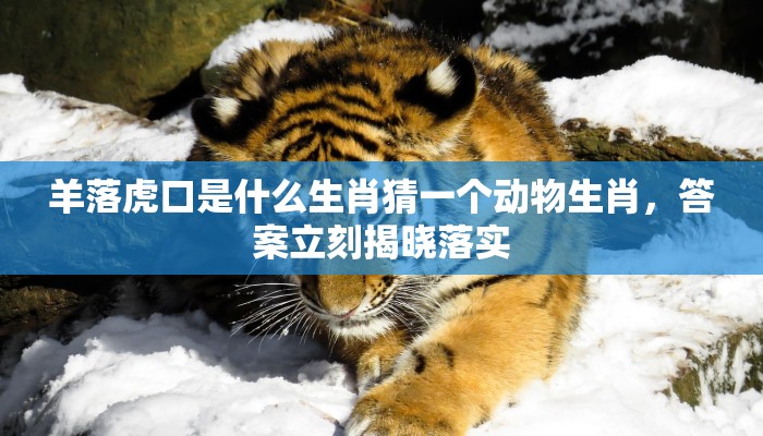 羊落虎口是什么生肖猜一个动物生肖，答案立刻揭晓落实