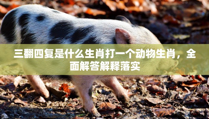 三翻四复是什么生肖打一个动物生肖，全面解答解释落实