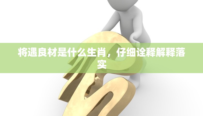 将遇良材是什么生肖，仔细诠释解释落实