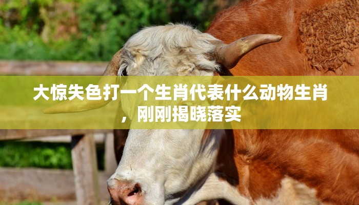 大惊失色打一个生肖代表什么动物生肖，刚刚揭晓落实