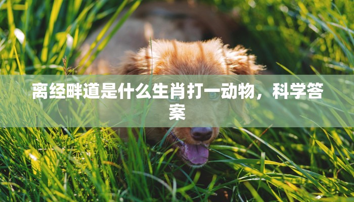 离经畔道是什么生肖打一动物，科学答案