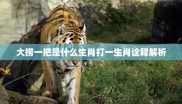 斗鸡走狗是什么生肖,仔细解释诗意 斗鸡走狗是什么生肖,仔细解释诗意