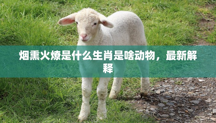 三五飞絮沾衣裳，三九残花立马前是什么生肖，答案分析