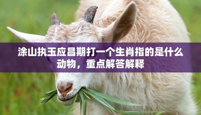 涂山执玉应昌期打一个生肖指的是什么动物,重点解答解释 涂山执玉应昌期打一个生肖指的是什么动物,重点解答解释