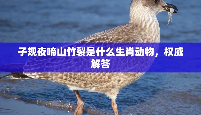 子规夜啼山竹裂是什么生肖动物,权威解答 子规夜啼山竹裂是什么生肖动物,权威解答