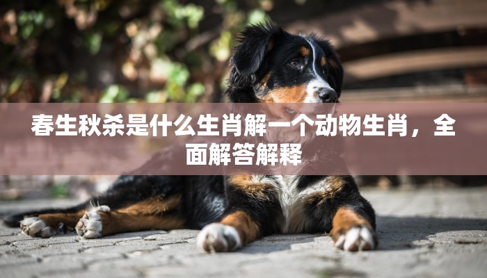春生秋杀是什么生肖解一个动物生肖，全面解答解释