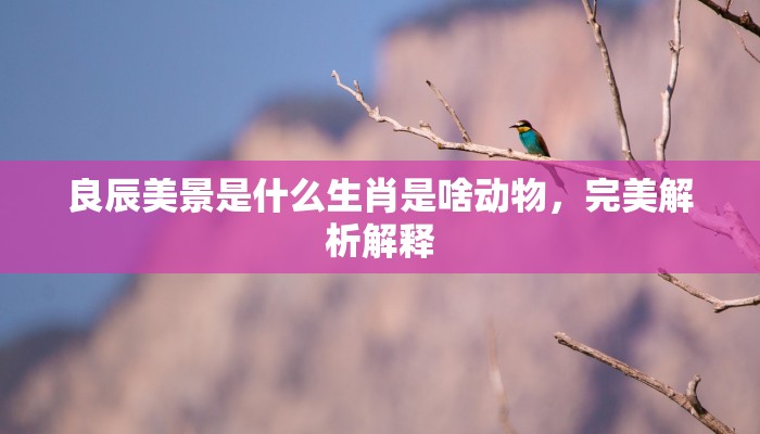 良辰美景是什么生肖是啥动物,完美解析解释 良辰美景是什么生肖是啥动物,完美解析解释