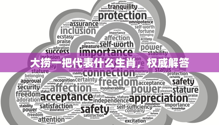 大捞一把代表什么生肖，权威解答