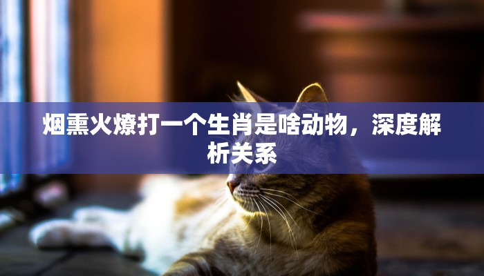 烟熏火燎打一个生肖是啥动物，深度解析关系