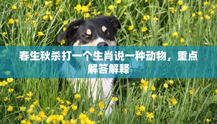 春生秋杀打一个生肖说一种动物，重点解答解释