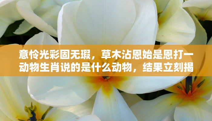 意怜光彩固无瑕，草木沾恩始是恩打一动物生肖说的是什么动物，结果立刻揭晓落实