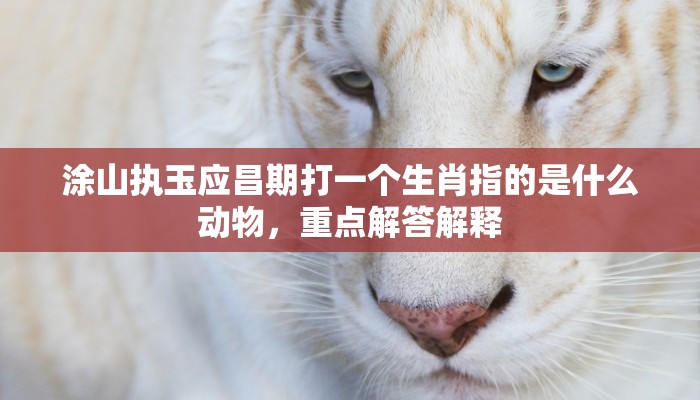 涂山执玉应昌期打一个生肖指的是什么动物,重点解答解释 涂山执玉应昌期打一个生肖指的是什么动物,重点解答解释