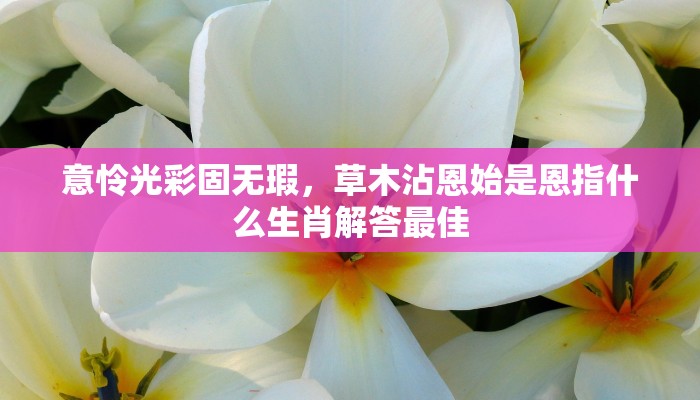 意怜光彩固无瑕，草木沾恩始是恩指什么生肖解答最佳