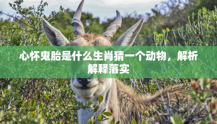 心怀鬼胎是什么生肖猜一个动物，解析解释落实