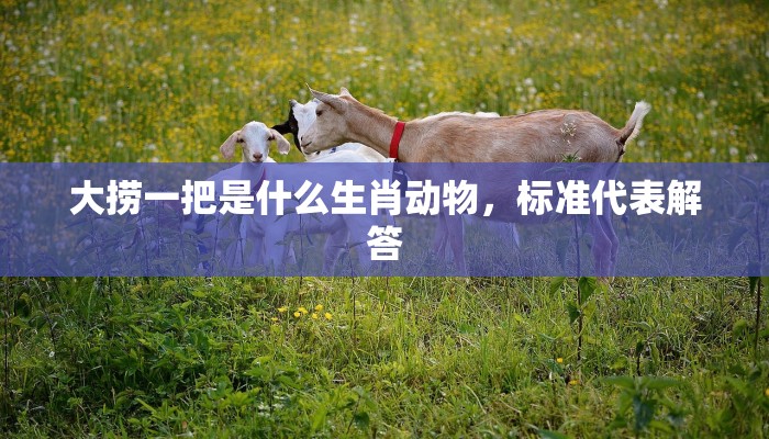 大捞一把是什么生肖动物，标准代表解答