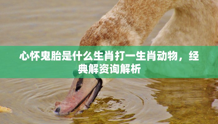 心怀鬼胎是什么生肖打一生肖动物，经典解资询解析