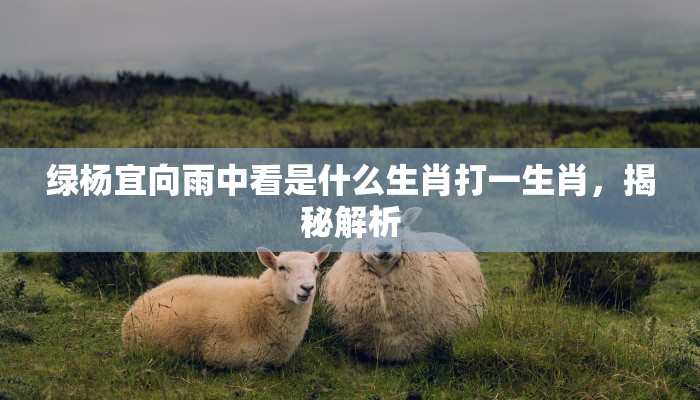 绿杨宜向雨中看是什么生肖打一生肖，揭秘解析