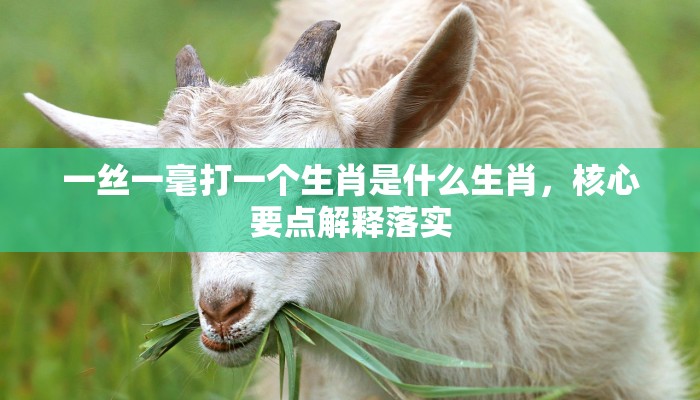 一丝一毫打一个生肖是什么生肖，核心要点解释落实