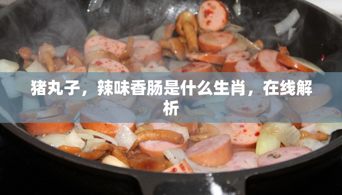 猪丸子，辣味香肠是什么生肖，在线解析