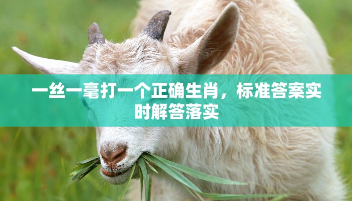 一丝一毫打一个正确生肖，标准答案实时解答落实