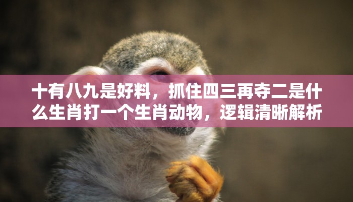 十有八九是好料，抓住四三再夺二是什么生肖打一个生肖动物，逻辑清晰解析