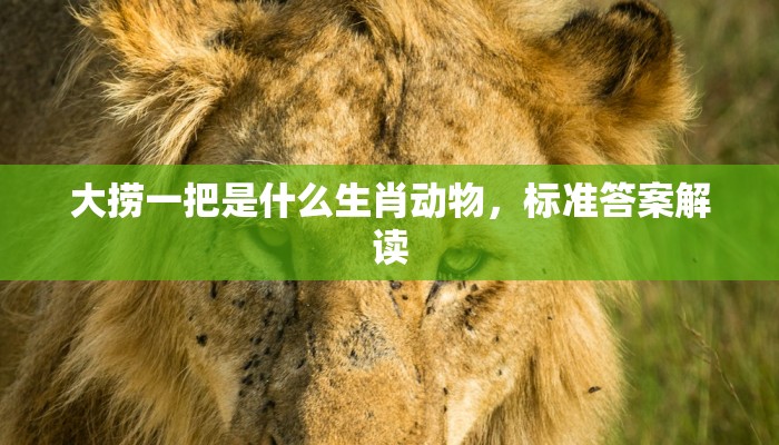 大捞一把是什么生肖动物，标准答案解读