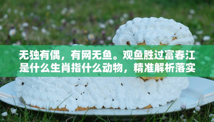 无独有偶，有网无鱼。观鱼胜过富春江是什么生肖指什么动物，精准解析落实